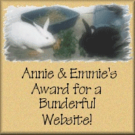 Annie & Emmie's Bunderful Site Award
